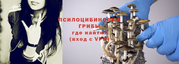 гидропоника Армянск