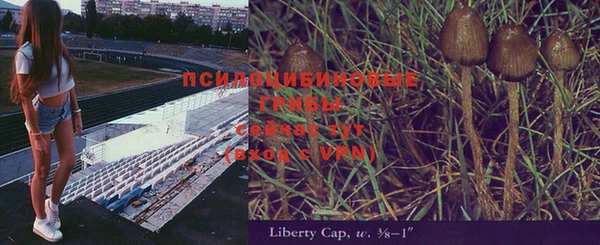 гидропоника Армянск