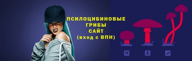 гидропоника Армянск