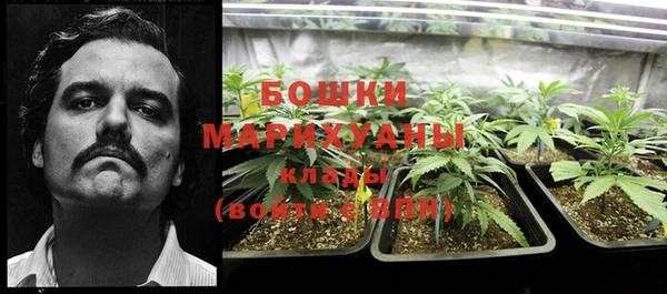 метадон Арсеньев