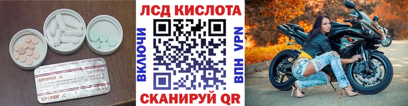 блэк спрут вход  Светлоград  ЛСД экстази кислота 