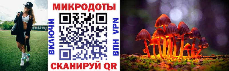 где купить наркоту  Светлоград  Псилоцибиновые грибы Cubensis 