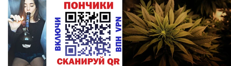 mega как войти  Светлоград  Конопля марихуана 